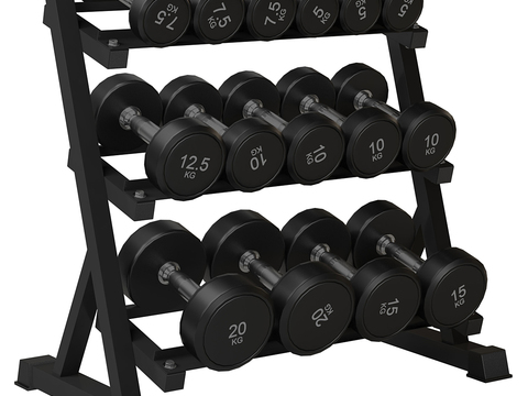 Dumbbell Barbell Fitness Equipment