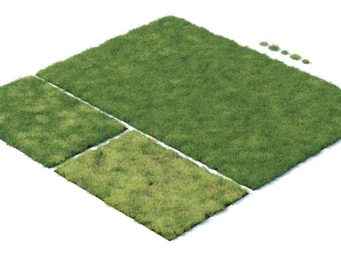 modern green lawn