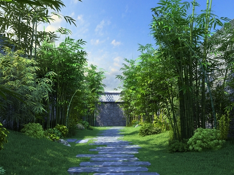 Chinese Bamboo Forest Landscape