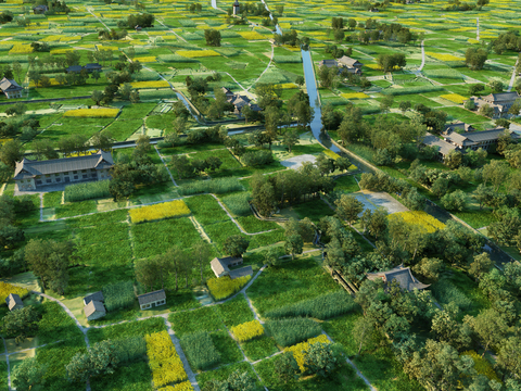 Natural Wind Country Field Landscape