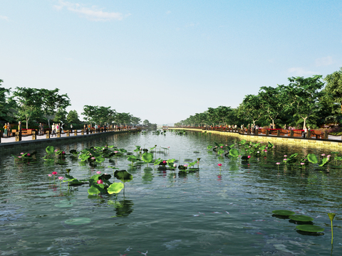 Modern River Park Lotus Landscape