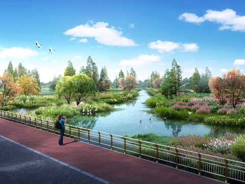 wetland park psd