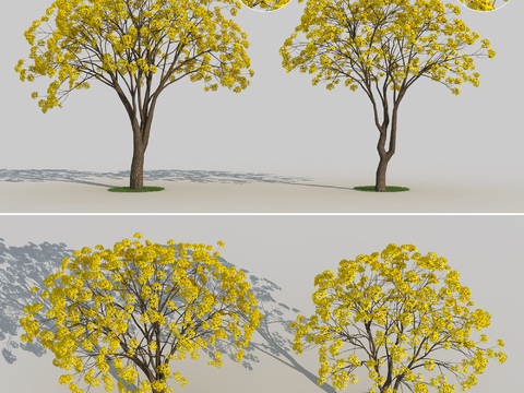 Modern Yellow Flower Wind Suzuki Landscape Tree