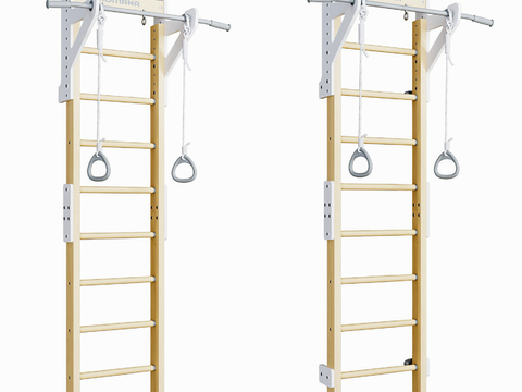 Modern children's climbing ladder