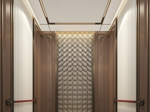 Modern Affordable Luxury Style Hotel Elevator Car