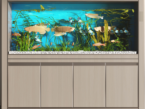 Modern fish tank aquarium