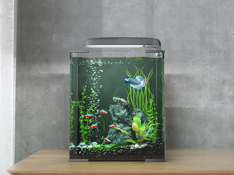 Modern fish tank