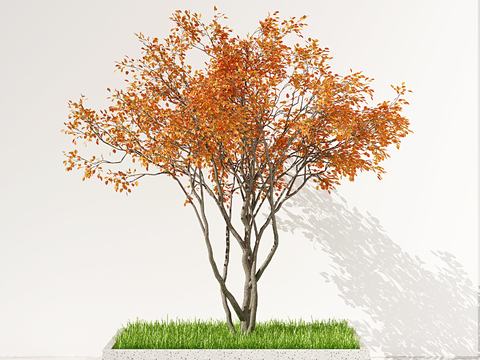 Modern Autumn Tree Landscape Tree