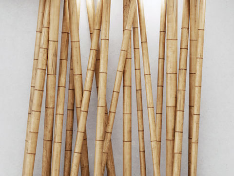 Natural wind bamboo partition