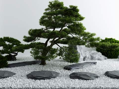 New Chinese Pine Tree Rock Landscape Sick