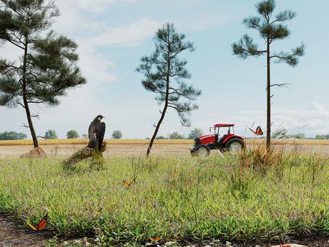 Bird Tractor Green Plant Landscape