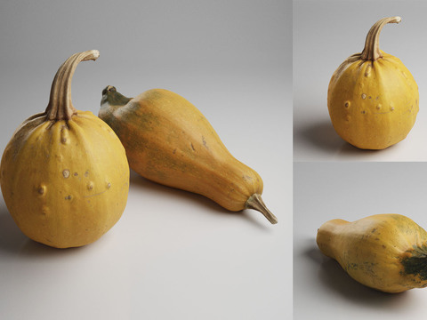 Modern Pumpkin Vegetables