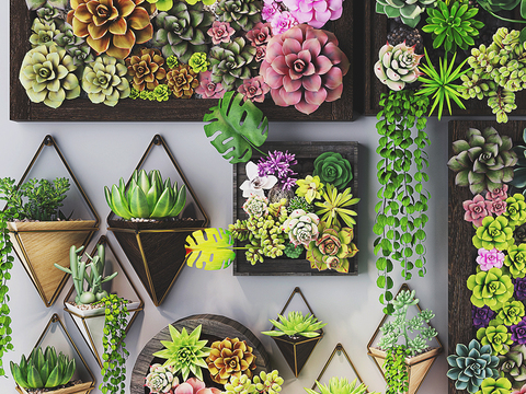 Modern succulents green plant wall