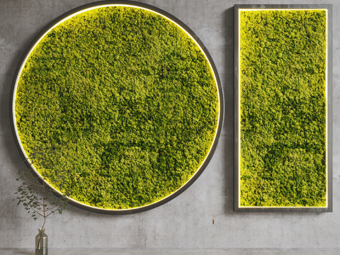 moss plant wall