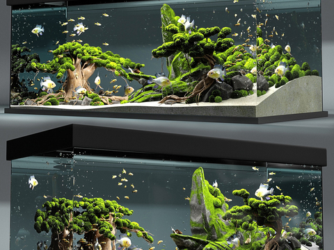 Modern Aquarium Fish Tank