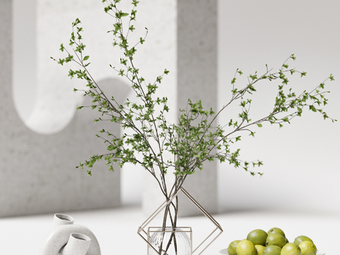 Modern hydroponic green plant vase