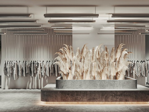 modern high gray clothing store