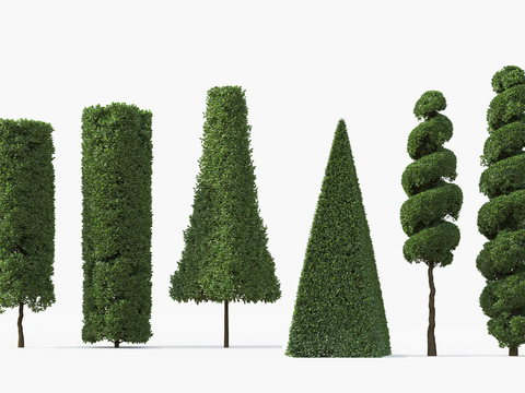 Modern shrub landscape tree