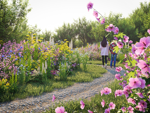 Garden Landscape Flower Path