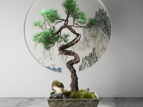 Chinese Pine Pot