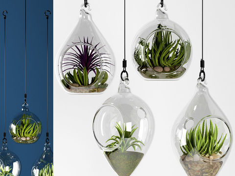 Modern hanging potted hanging basket