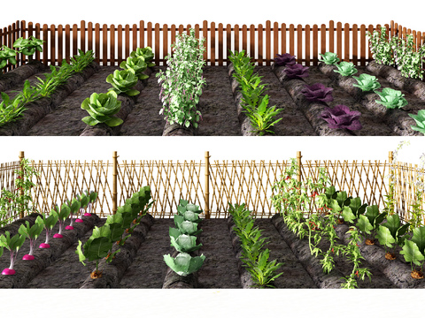 Natural wind vegetable garden