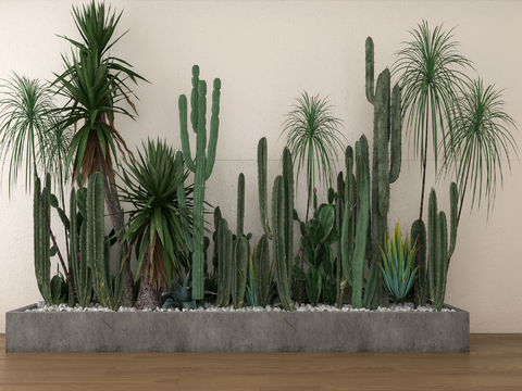 Cactus plant pile