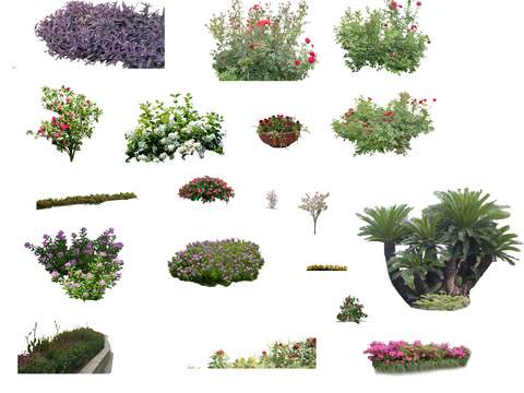 modern bushes flowers green plant psd