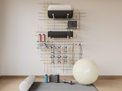 Modern Home Yoga Fitness Equipment Free