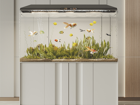 Fish tank aquarium