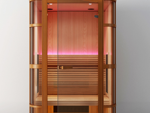 Modern single sauna room dry steam room