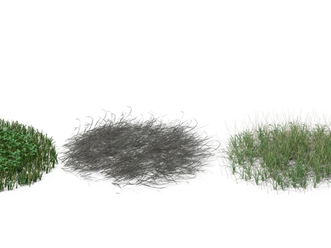 hay weeds grass bushes ash psd