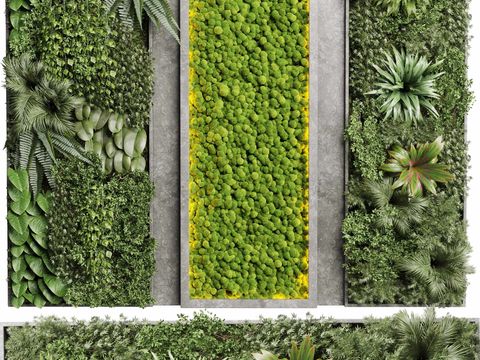 Modern moss plant wall