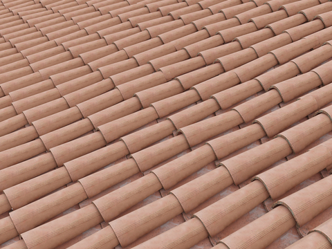 Modern roof red tile