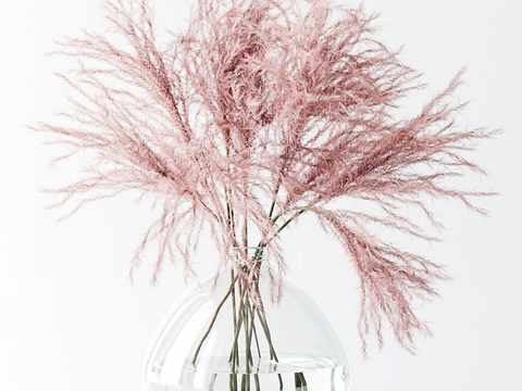 aquatic plants dried flower flower arrangement