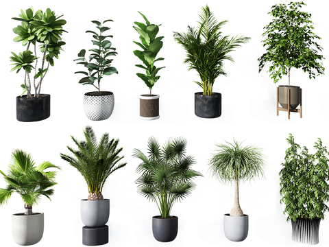 Modern potted plant combination