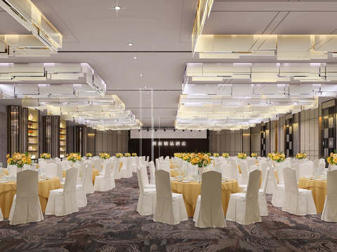 Modern Hotel Ballroom