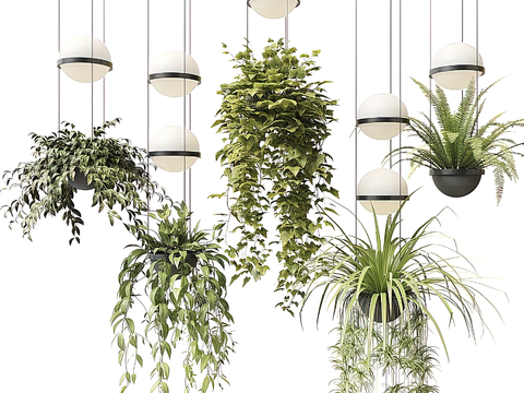 Modern Green Plant Hanging Basket