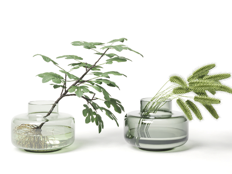 Modern hydroponic Setaria vase