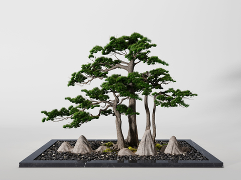 New Chinese pine rockery gardening sketch