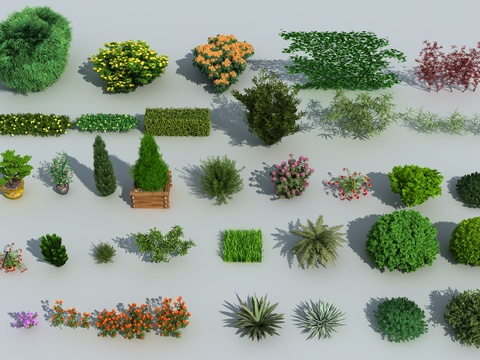 Modern landscape hedge flowers and shrubs