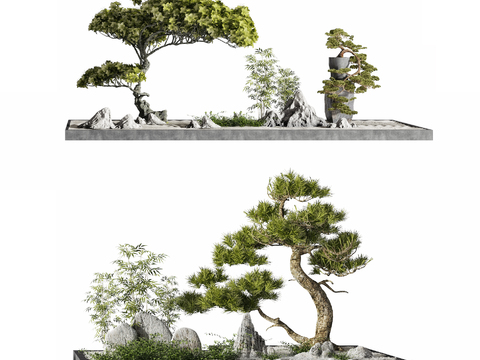 New Chinese Pine Tree Rock Landscape Sick