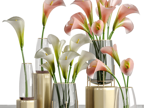 Modern water-fed calla lilies