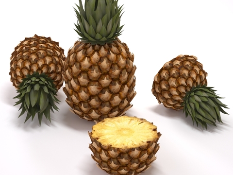 Modern Pineapple Free