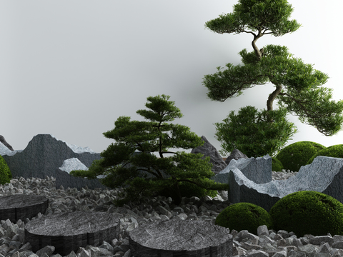 New Chinese pine tree Ting step sketch