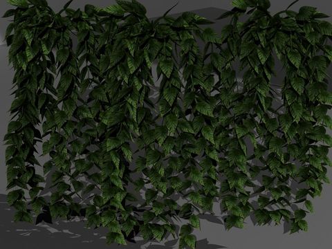 Modern Green Plant Vine Free