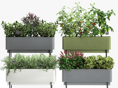 Modern Green Plant Potted Flower Box