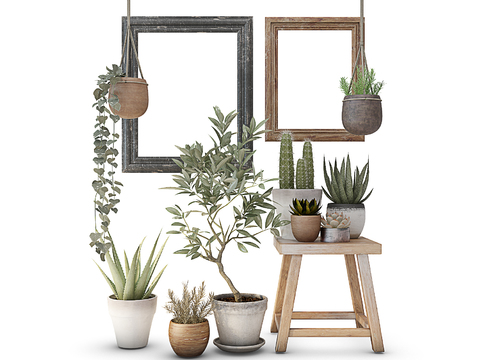 Modern plants potted free