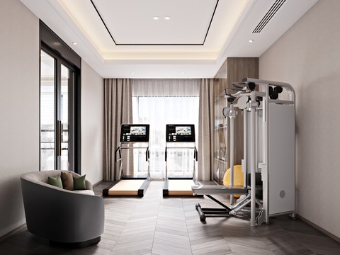 Modern Lounge Fitness Area Free