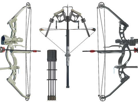 Modern bow and arrow shooting crossbow combo